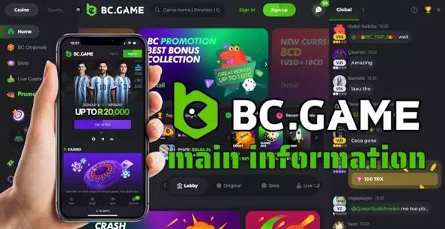 Understanding BC Fun Legal Your Ultimate Guide